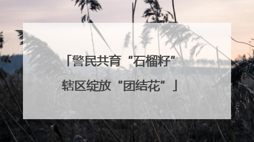 警民共育“石榴籽” 辖区绽放“团结花”