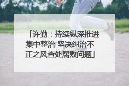 许勤：持续纵深推进集中整治 坚决纠治不正之风查处腐败问题