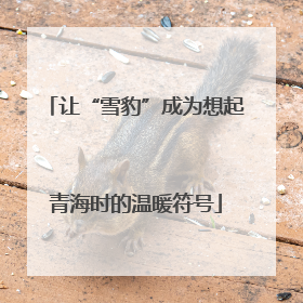 让“雪豹”成为想起青海时的温暖符号