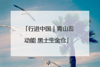 行进中国｜青山蓄动能 黑土生金仓