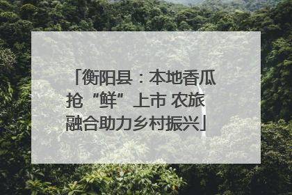 衡阳县：本地香瓜抢“鲜”上市 农旅融合助力乡村振兴