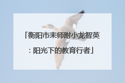 衡阳市耒师附小龙智英：阳光下的教育行者