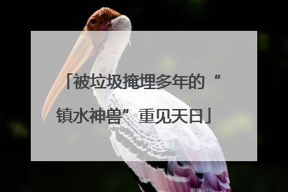 被垃圾掩埋多年的“镇水神兽”重见天日