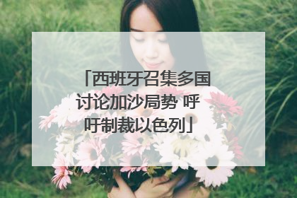 西班牙召集多国讨论加沙局势 呼吁制裁以色列