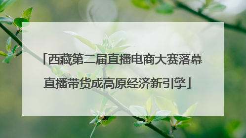 西藏第二届直播电商大赛落幕 直播带货成高原经济新引擎