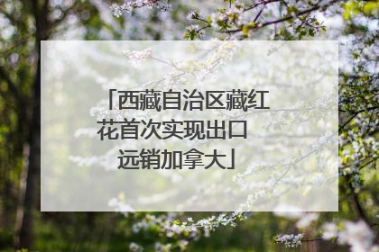西藏自治区藏红花首次实现出口 远销加拿大