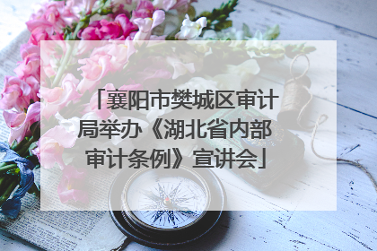 襄阳市樊城区审计局举办《湖北省内部审计条例》宣讲会
