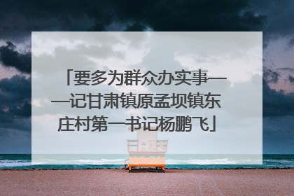要多为群众办实事——记甘肃镇原孟坝镇东庄村第一书记杨鹏飞