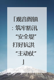 观音阁镇：筑牢防汛“安全堤” 打好抗洪“主动仗”