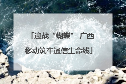 迎战“蝴蝶” 广西移动筑牢通信生命线