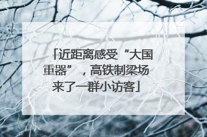 近距离感受“大国重器”，高铁制梁场来了一群小访客