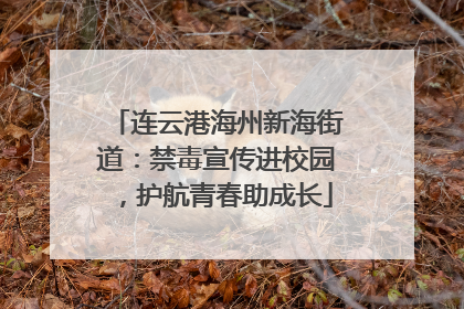 连云港海州新海街道：禁毒宣传进校园，护航青春助成长