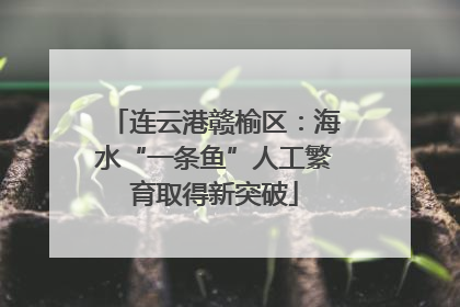 连云港赣榆区：海水“一条鱼”人工繁育取得新突破