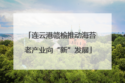 连云港赣榆推动海苔老产业向“新”发展