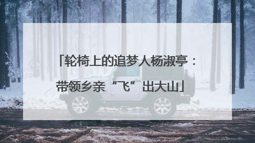 轮椅上的追梦人杨淑亭：带领乡亲“飞”出大山
