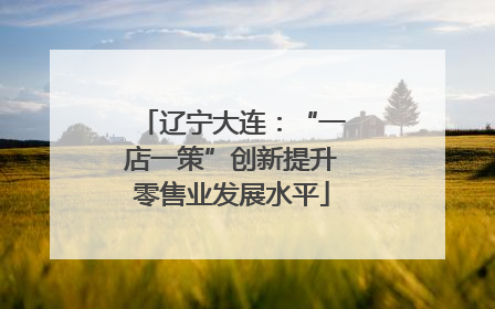 辽宁大连：“一店一策”创新提升零售业发展水平