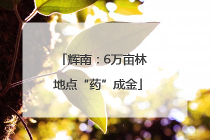 辉南：6万亩林地点“药”成金
