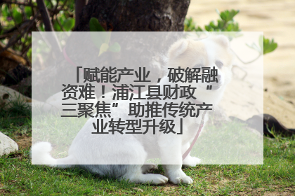 赋能产业，破解融资难！浦江县财政“三聚焦”助推传统产业转型升级