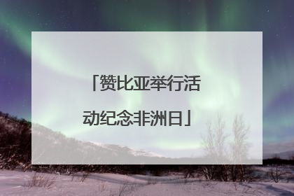 赞比亚举行活动纪念非洲日