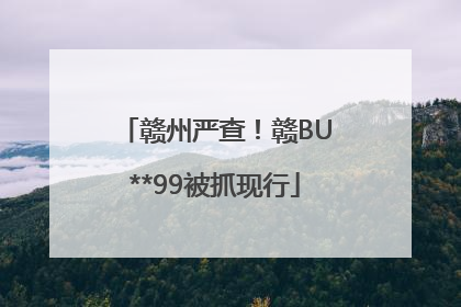 赣州严查！赣BU**99被抓现行