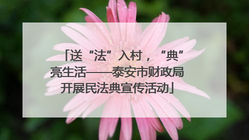 送“法”入村，“典”亮生活——泰安市财政局开展民法典宣传活动