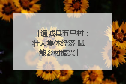 通城县五里村：壮大集体经济 赋能乡村振兴
