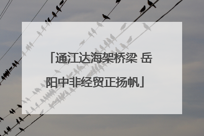 通江达海架桥梁 岳阳中非经贸正扬帆