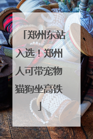 郑州东站入选！郑州人可带宠物猫狗坐高铁