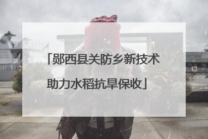 郧西县关防乡新技术助力水稻抗旱保收