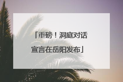 重磅！洞庭对话宣言在岳阳发布
