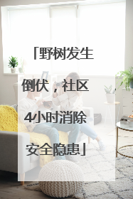 野树发生倒伏，社区4小时消除安全隐患