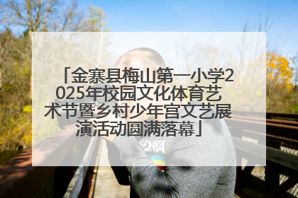 金寨县梅山第一小学2025年校园文化体育艺术节暨乡村少年宫文艺展演活动圆满落幕