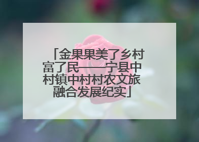 金果果美了乡村富了民——宁县中村镇中村村农文旅融合发展纪实