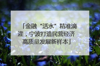金融“活水”精准滴灌，宁波打造民营经济高质量发展新样本