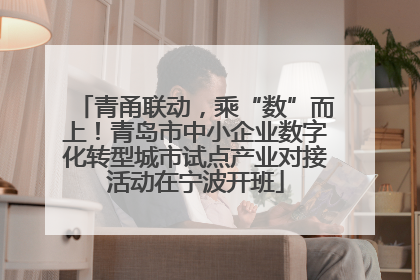 青甬联动，乘“数”而上！青岛市中小企业数字化转型城市试点产业对接活动在宁波开班
