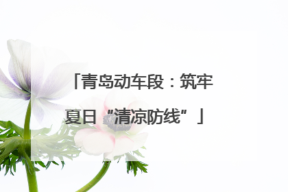 青岛动车段：筑牢夏日“清凉防线”