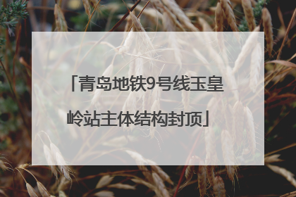 青岛地铁9号线玉皇岭站主体结构封顶