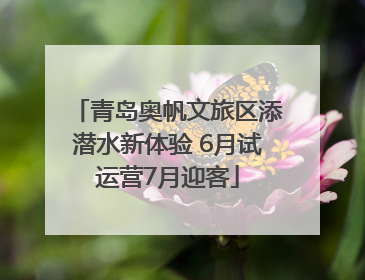 青岛奥帆文旅区添潜水新体验 6月试运营7月迎客