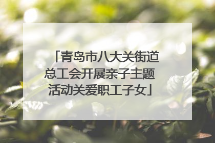 青岛市八大关街道总工会开展亲子主题活动关爱职工子女