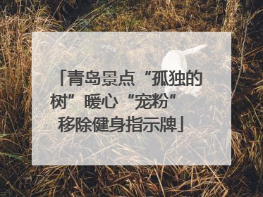 青岛景点“孤独的树”暖心“宠粉” 移除健身指示牌
