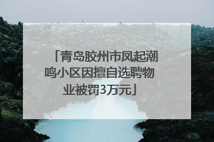 青岛胶州市凤起潮鸣小区因擅自选聘物业被罚3万元