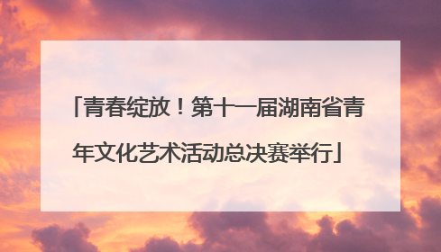 青春绽放！第十一届湖南省青年文化艺术活动总决赛举行
