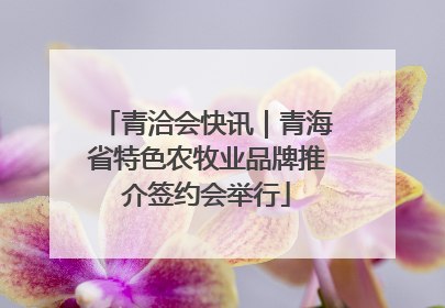 青洽会快讯｜青海省特色农牧业品牌推介签约会举行