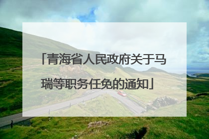 青海省人民政府关于马瑞等职务任免的通知