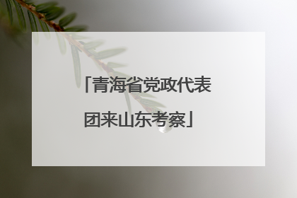 青海省党政代表团来山东考察