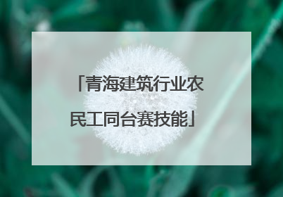青海建筑行业农民工同台赛技能