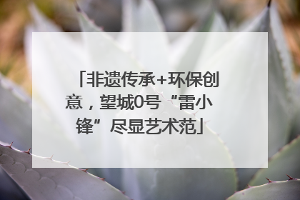 非遗传承+环保创意，望城0号“雷小锋”尽显艺术范