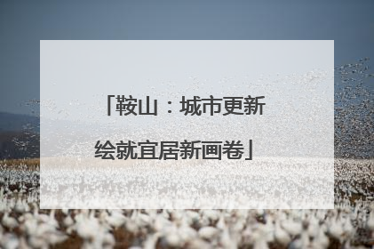 鞍山：城市更新绘就宜居新画卷