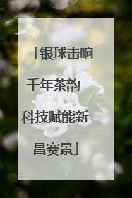 银球击响千年茶韵 科技赋能新昌赛景