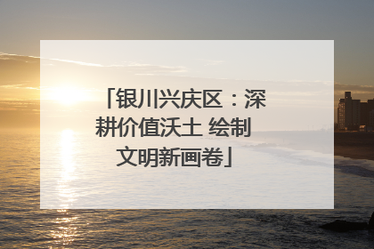 银川兴庆区：深耕价值沃土 绘制文明新画卷